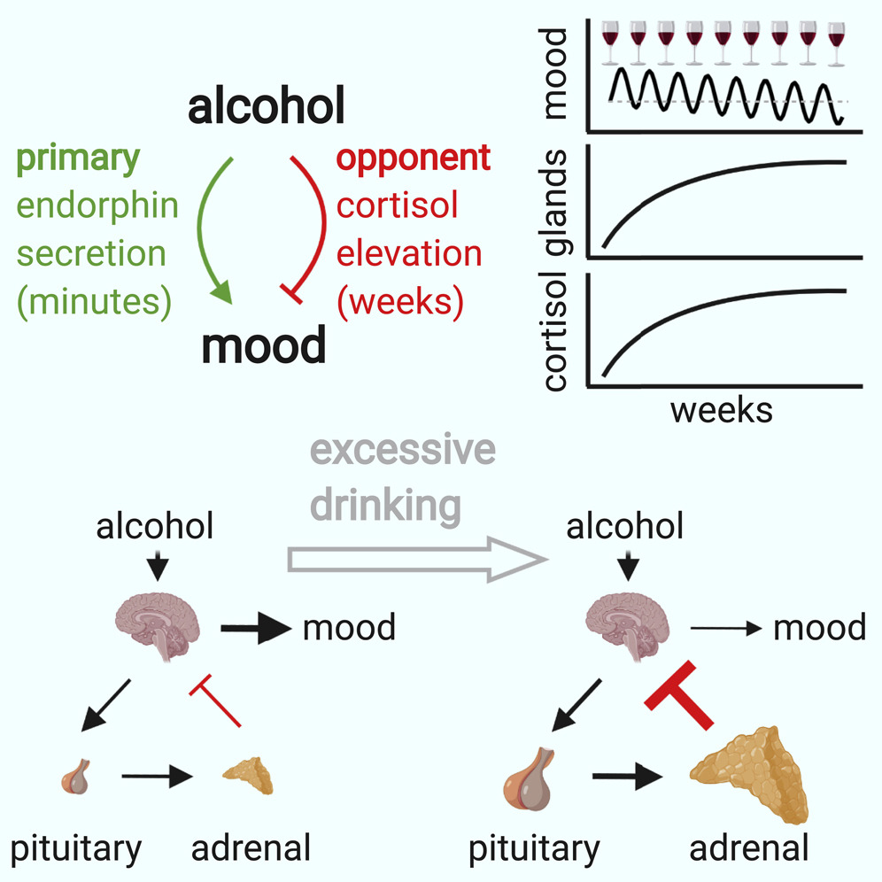 Graphical Abstract