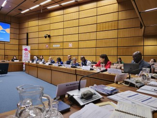 ISSUP Staff Participated in the UNODC Consultation Meeting in Vienna for "Friends in Focus": Shaping the Future of Peer-to-Peer Drug Prevention.