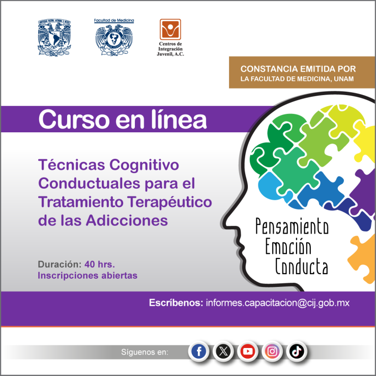 Curso Técnicas Cognitivo Conductuales